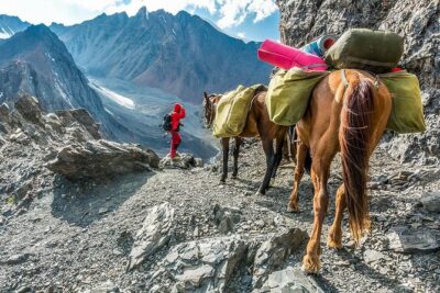 8 Days Trekking in Kyrgyzstan: Alay Mountains Adventure - Day 2–5: valleys, river crossings, and the big push toward the passes