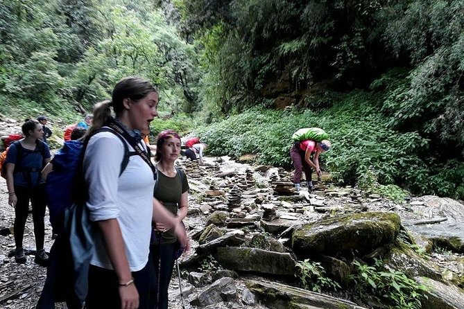 9 Days short and Easy Ghorepani Poonhill Trekking in Nepal - Ulleri’s Stone Steps and the Rhododendron-to-Ghorepani Grind (Day 4)