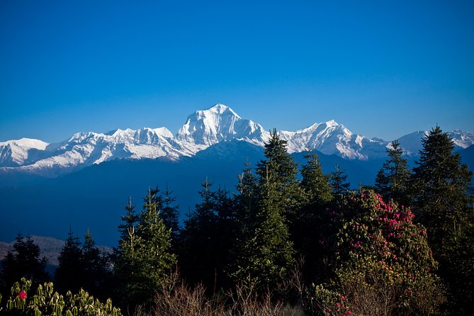 9 Days short and Easy Ghorepani Poonhill Trekking in Nepal - Trek Day 1: Nayapul to Tikhedhunga Along the Modi River (Day 3)