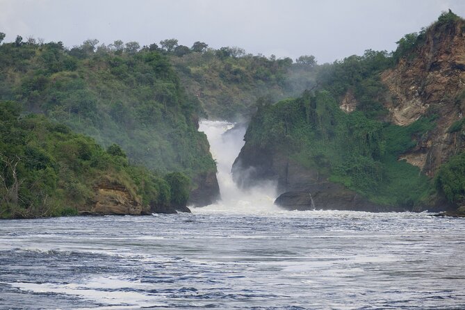 9 Days Uganda Wildlife Safaris, Gorilla Trekking & Hiking - Bwindi transfer and the Budongo chimp tracking stop