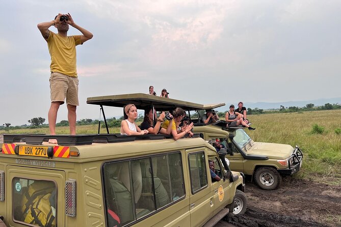 9 Days Uganda Wildlife Safaris, Gorilla Trekking & Hiking - Gorilla trekking in Bwindi: one allocated family, one unforgettable hour