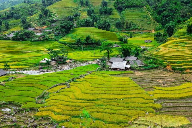 A day Trek to Rice Field in LaoChai-Tavan village-MuongHoa valley - Key Highlights at a Glance