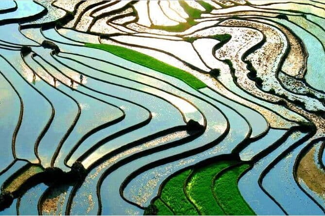A day Trek to Rice Field in LaoChai-Tavan village-MuongHoa valley - English-Speaking Guides Who Adjust to You