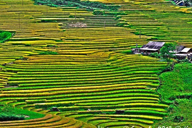 A day Trek to Rice Field in LaoChai-Tavan village-MuongHoa valley - What to Wear and Bring for Sapa’s Rainy, Slippery Reality