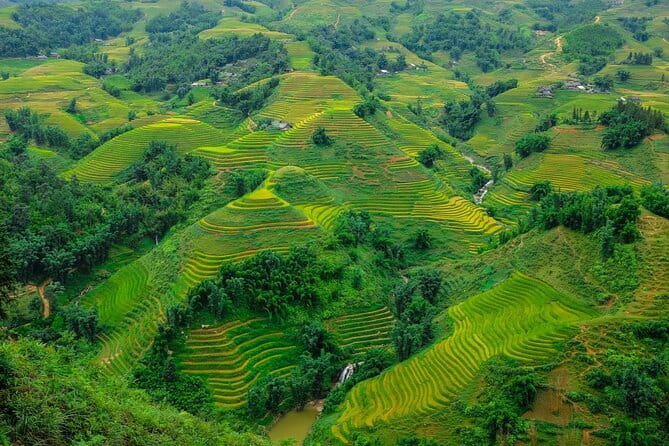A day Trek to Rice Field in LaoChai-Tavan village-MuongHoa valley - Village Visits That Feel Like Daily Life (Not a Stage Show)