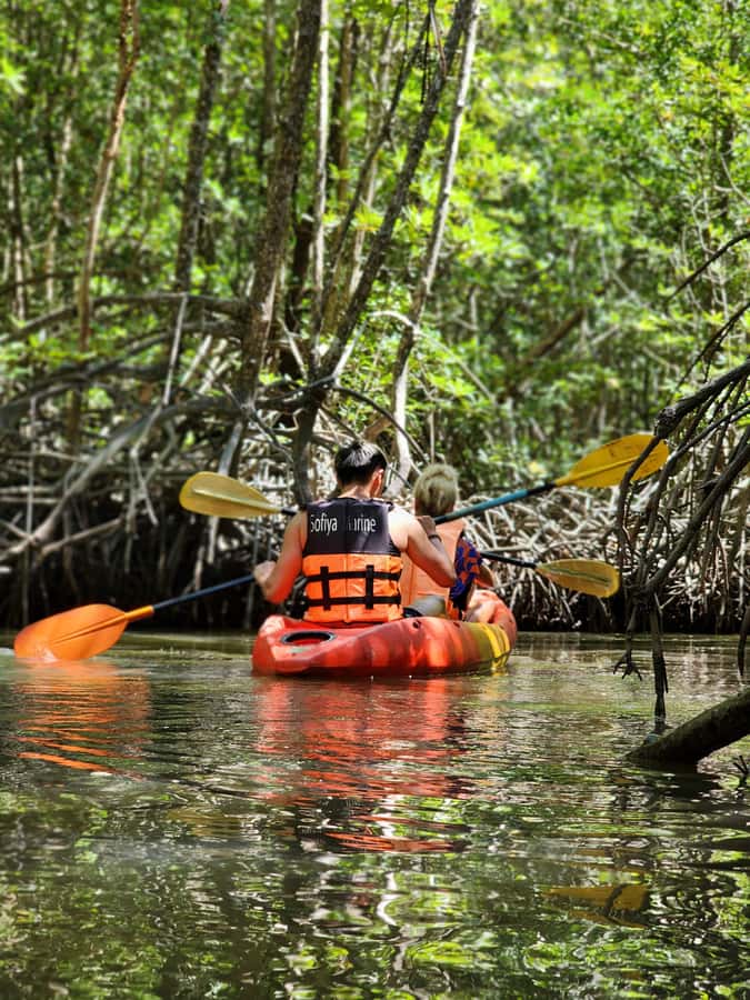 A Jungle-to-Sea Kayaking & Trekking Adventure in Phuket - A Jungle-to-Sea Day That Fits in Six Hours