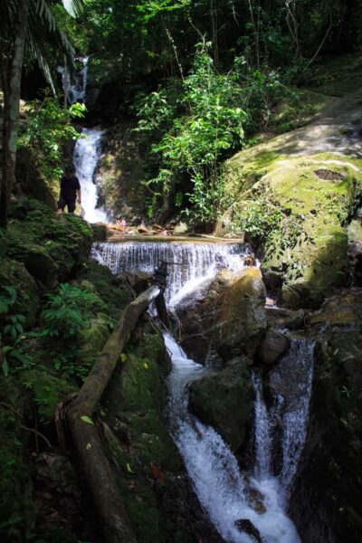 A Jungle-to-Sea Kayaking & Trekking Adventure in Phuket - Starting at CC’s Hideaway: Van Time and a Clear Plan