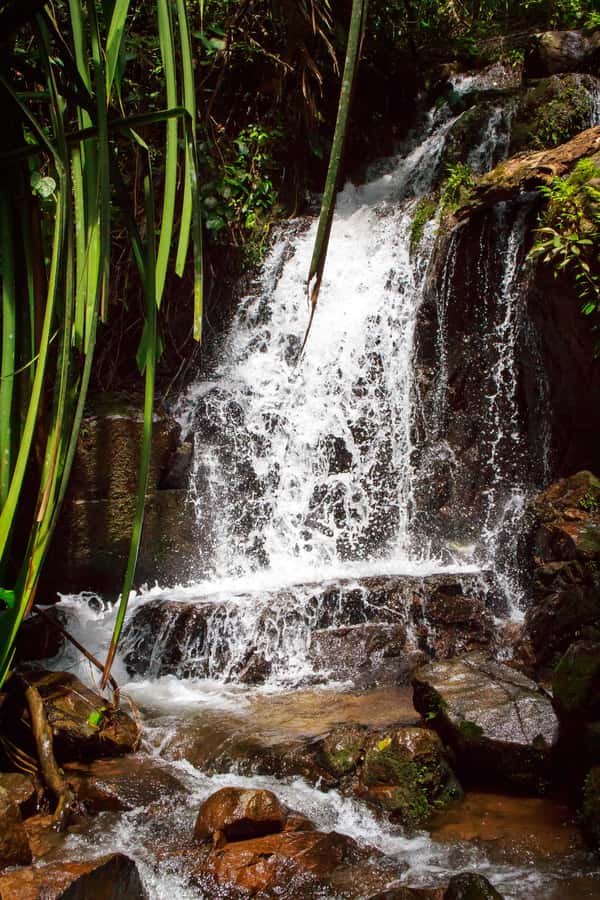 A Jungle-to-Sea Kayaking & Trekking Adventure in Phuket - Weather, Cancel/Reschedule, and the Fitness Reality