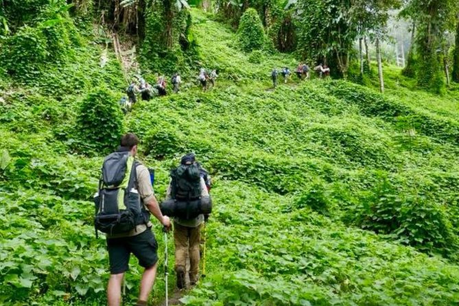 ADVENTURE KOKODA 10-Day Premium Kokoda Campaign Trek Australian Led - Days 7–9: Moss Forest, Lake Myola, and the Bush that slows your thinking