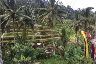 Adventures Tour : Bali Hidden Canyon Trekking - Beji Guwang - Hidden Canyon Trekking at Beji Guwang: Swim, Clamber, Snap Photos