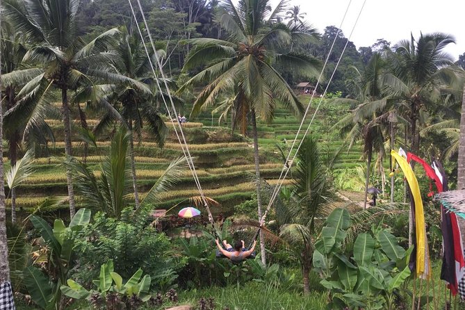 Adventures Tour : Bali Hidden Canyon Trekking - Beji Guwang - Hidden Canyon Trekking at Beji Guwang: Swim, Clamber, Snap Photos