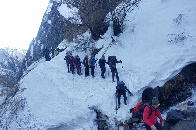 Adventurous Annapurna Base Camp Trekking - Ulleri and Ghorepani: steps, bridges, forests, and first panorama payoffs