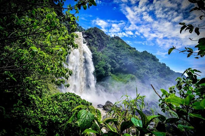 Aerial Hammocks, Zip and Waterfall Trek on Medellin Private Tour - Timing, group flow, and why weather matters here