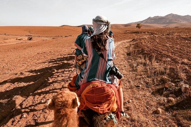 Agafay Desert-And Atlas Mountains & Camel-Trek-Day Trip From Marrakech - Quick take: the best reasons to do this day trip