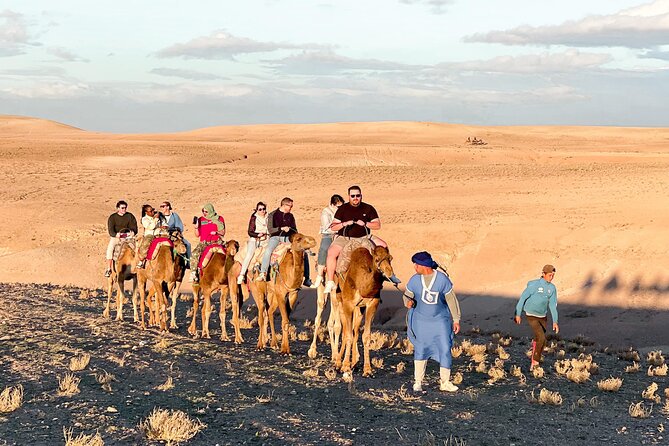 Agafay Desert: Camel Trek, Quad Biking Adventure, Dinner Show - Price and value: what $60 buys in real terms