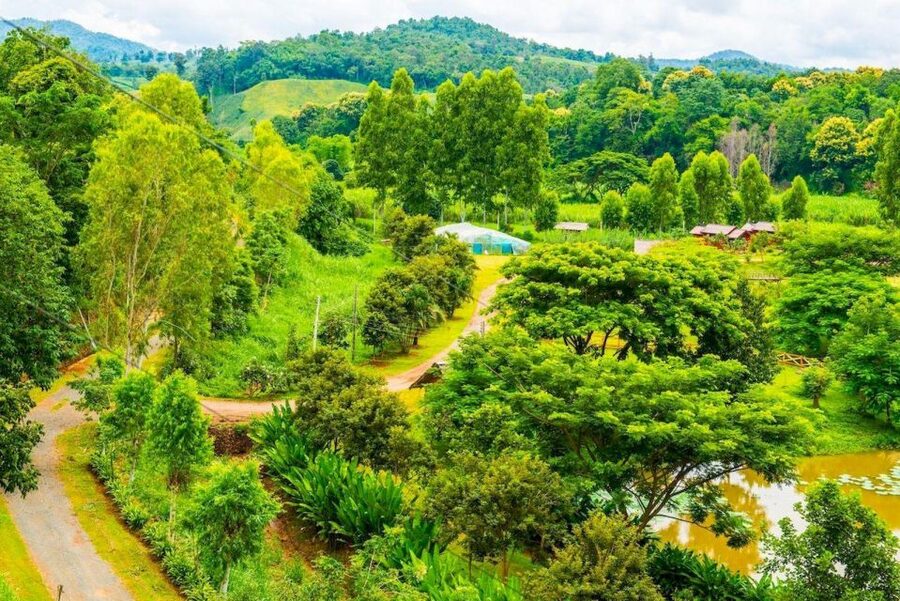 Akha & Lahu village trekking 1 day - Why this Akha & Lahu 1-Day trek in Chiang Rai feels real