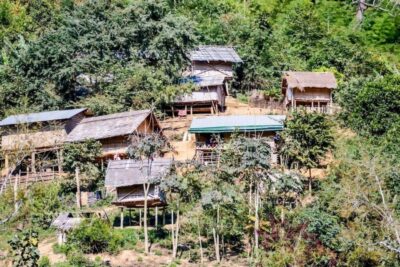 Akha & Lahu village trekking 1 day - The walking route: bamboo forest, rice fields, and pineapple plantations