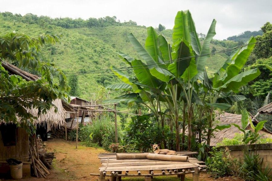 Akha & Lahu village trekking 1 day - Practical tips that make a one-day trek easier