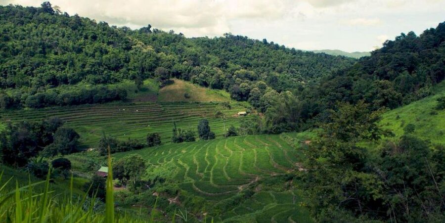 Akha & Lahu village trekking 1 day - A day-by-day feel: what your time actually looks like