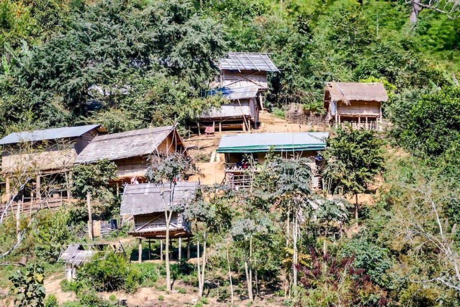 Akha & Lahu village trekking 1 day - The walking route: bamboo forest, rice fields, and pineapple plantations