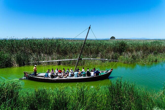 Albufera Private Day Tour: Paella, Boat Cruise and Nature Walk - Stop 5: El Palmar sunset boat cruise on the Albufera (and what happens if weather changes it)