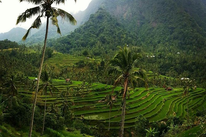 All inclusive Bali Sekumpul Waterfalls Trekking Tour - Stop 2: Fili (Fiji) Waterfalls with multiple cascades and spring water