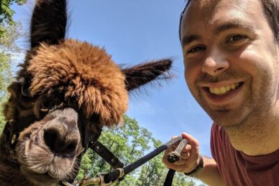 Alpaca and Llama Trek in Pleasant Valley - Price and value: is $48 worth a one-hour walk with an alpaca?