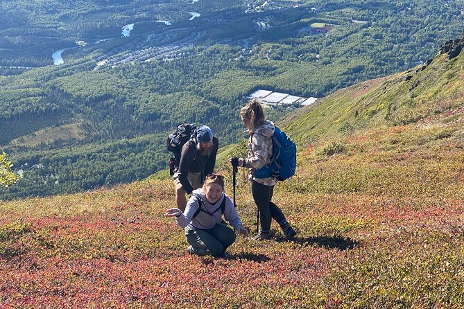 Alpine Classic Trek - Key things to know before you go