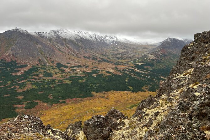 Alpine Classic Trek - Wildlife spotting: moose, bear, goats, and birds overhead
