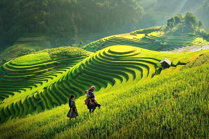 Amazing Sapa Fansipan Cable Car - Trekking: Fun, Majestic fr Sapa - At the Peak: Temples, Spiritual Landmarks, and Monorail Rides