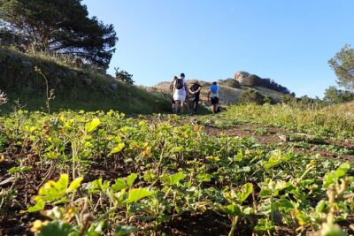 Ana Ferreira Caves & Peaks Trekking - Pico Ana Ferreira Summit Views: Why the Climb Is Worth It