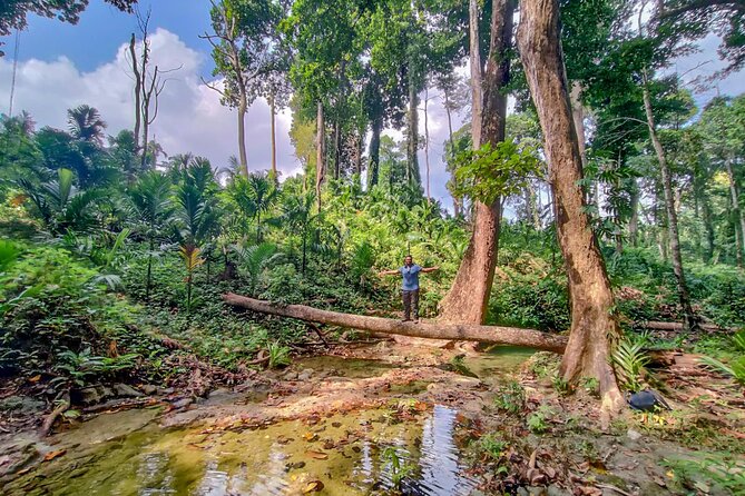 Ancient Lava Stream Trek through dense Tropical forest. - Price and Logistics: What This Costs for a Small-Group Trek