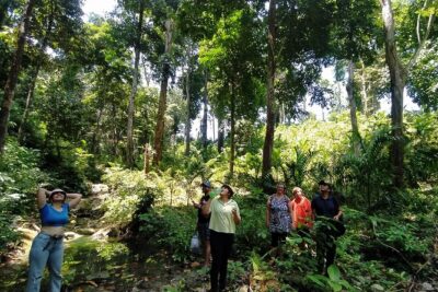 Ancient Lava Stream Trek through dense Tropical forest. - Where You’ll Start on Havelock Island (and How the Trek Ends)
