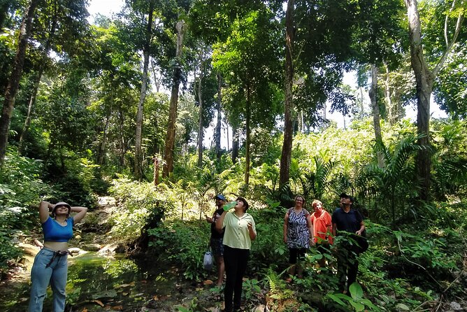 Ancient Lava Stream Trek through dense Tropical forest. - Where You’ll Start on Havelock Island (and How the Trek Ends)