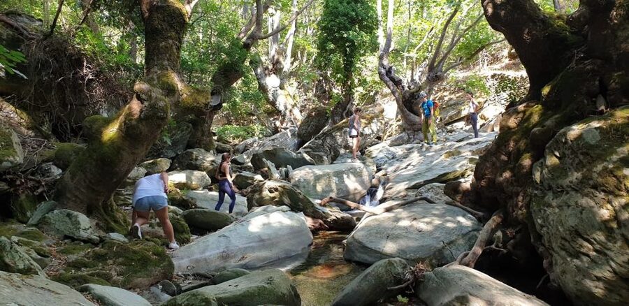 Andros: Achla River Trekking to the Waterfall - River Trekking to Gerolimni: the vibe and the payoff