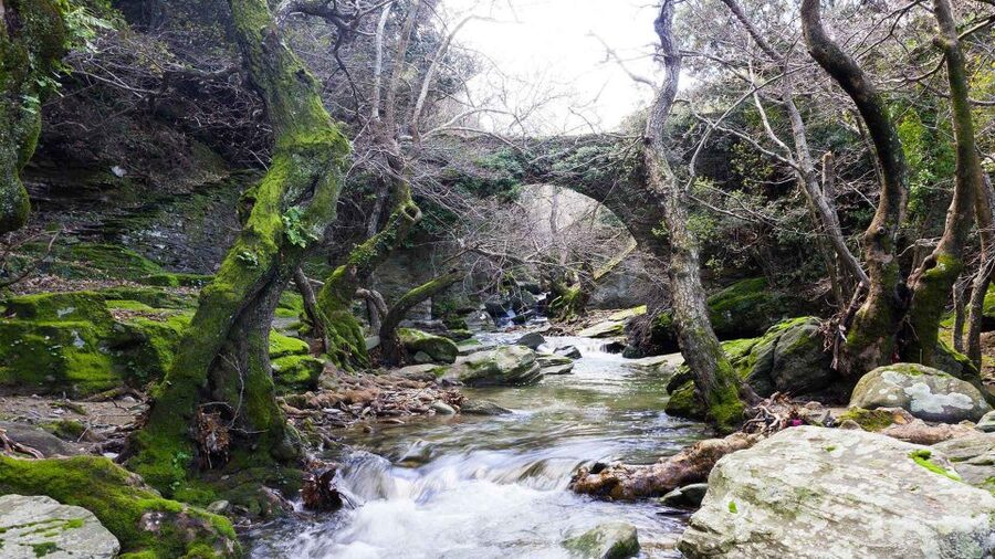 Andros: Achla River Trekking to the Waterfall - Who this Andros trek fits well—and who should skip it
