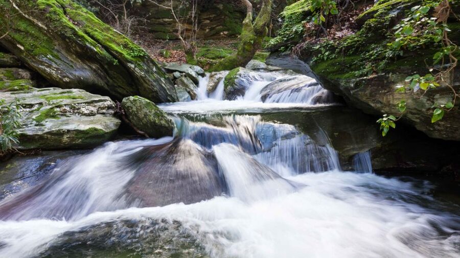 Andros: Achla River Trekking to the Waterfall - Small-group and guide style: how it improves the day
