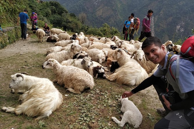 Annapurna: 2 Days 1 Night Poon Hill Trekking - Day 1: Ghorepani, forest walking, and a tea house night