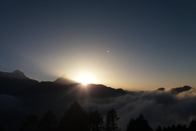 Annapurna: 2 Days Poon Hill Trek from Pokhara - Day 1 trekking to Ghorepani: stairs, forest shade, and a real overnight