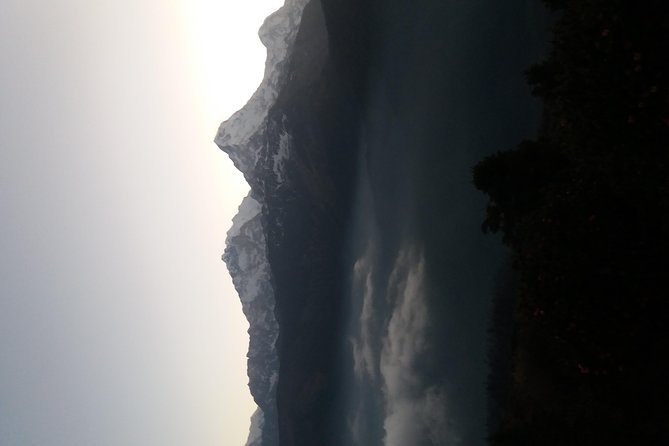 Annapurna: 2 Days Poon Hill Trek from Pokhara - The 4am push to Poon Hill: timing beats luck