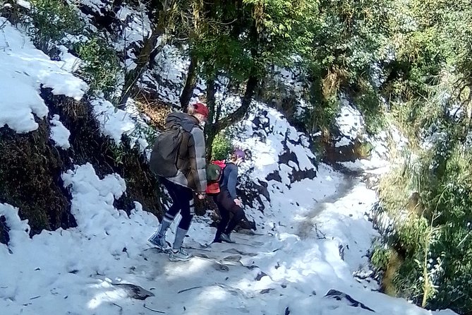 Annapurna: 5 Days Poon Hill Circuit Trek from Pokhara - Key Things I’d Watch Before You Go