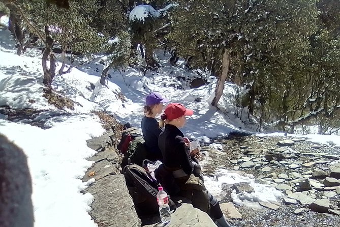 Annapurna: 5 Days Poon Hill Circuit Trek from Pokhara - The Guide and Service Level: Why People Rate This So High