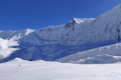 Annapurna Base Camp 7 Days Trek from Pokhara - Into Annapurna Sanctuary: bamboo, rhododendron, and the climb that feels earned