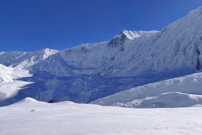 Annapurna Base Camp 7 Days Trek from Pokhara - Into Annapurna Sanctuary: bamboo, rhododendron, and the climb that feels earned