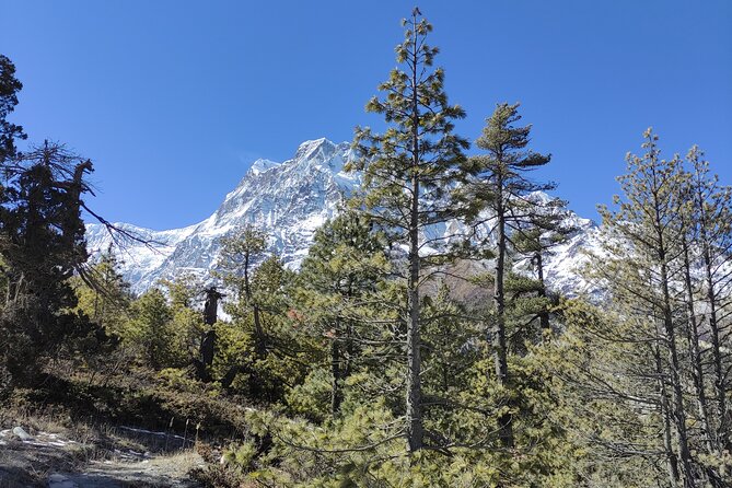 Annapurna Base Camp Trek - 10 Days - Key highlights worth knowing before you go