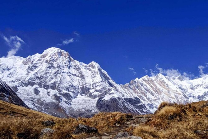 Annapurna Base Camp Trek - 11 Days - Rhododendron forests to Ghorepani: the slow build before the big morning