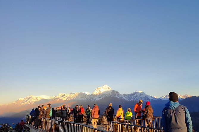 Annapurna Base Camp Trek 12 Days - Annapurna Base Camp: Your Weather-Linked Big Day