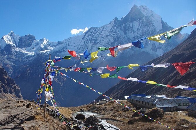Annapurna Base Camp Trek -13 Days - Transfers, lodging, and the guide/porter team that keeps things calm