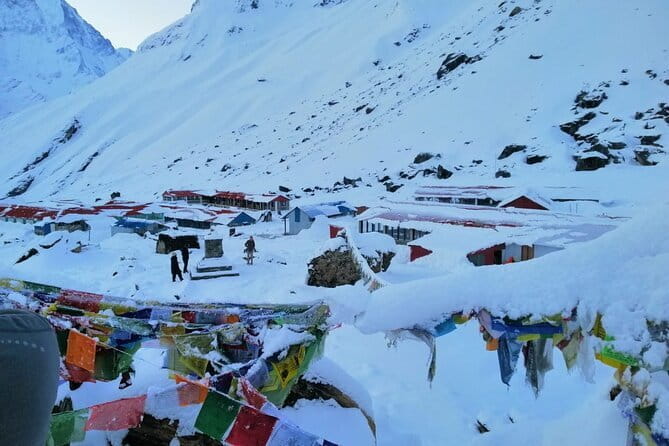 Annapurna Base Camp Trek - Chhomrong to Dovan: rhododendron forests and the rhythm change