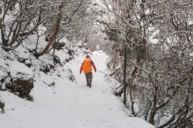 Annapurna base camp trek 5 Days - Tea-house trekking basics: comfort without overthinking